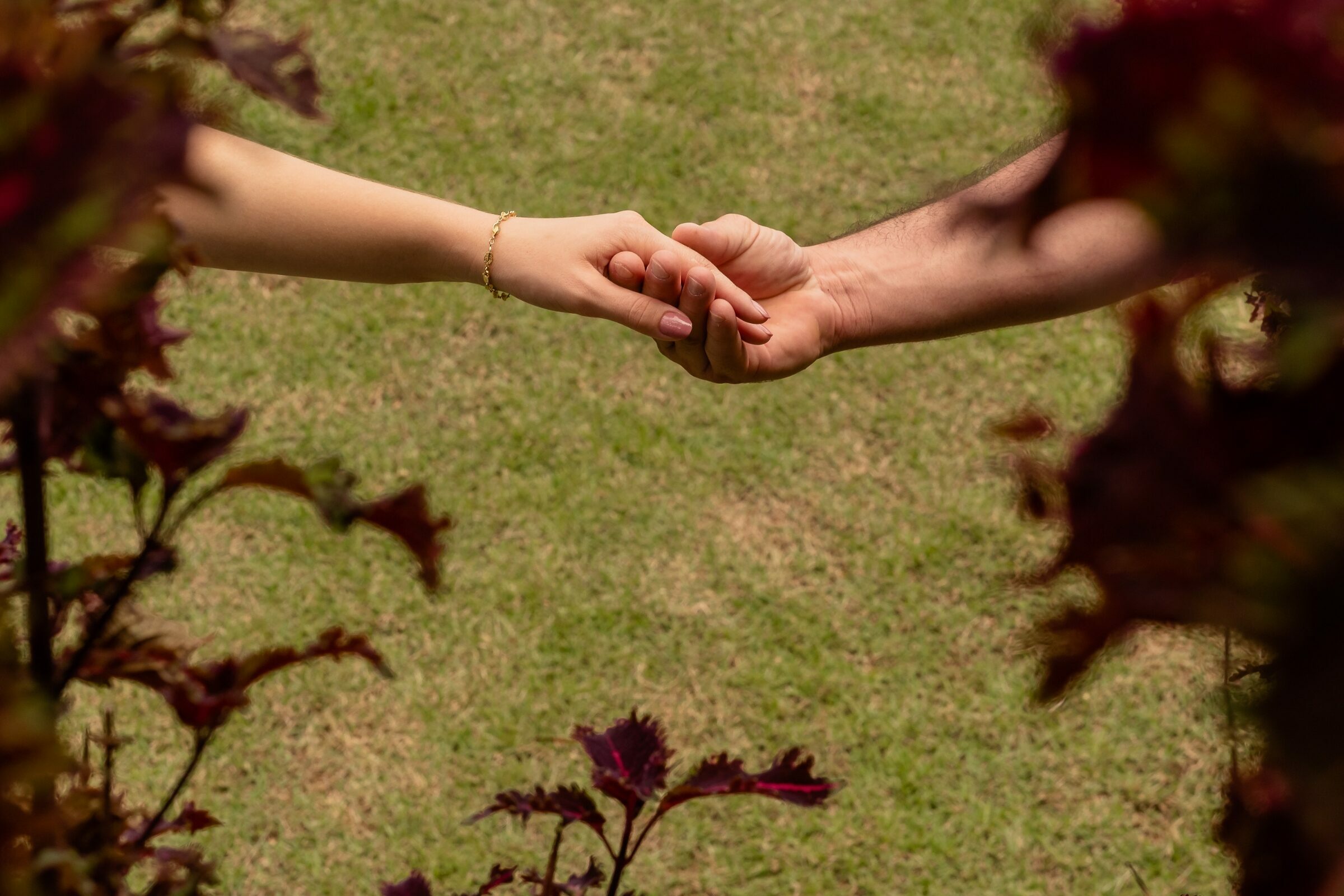 Foto de Elton Melchioretto 5