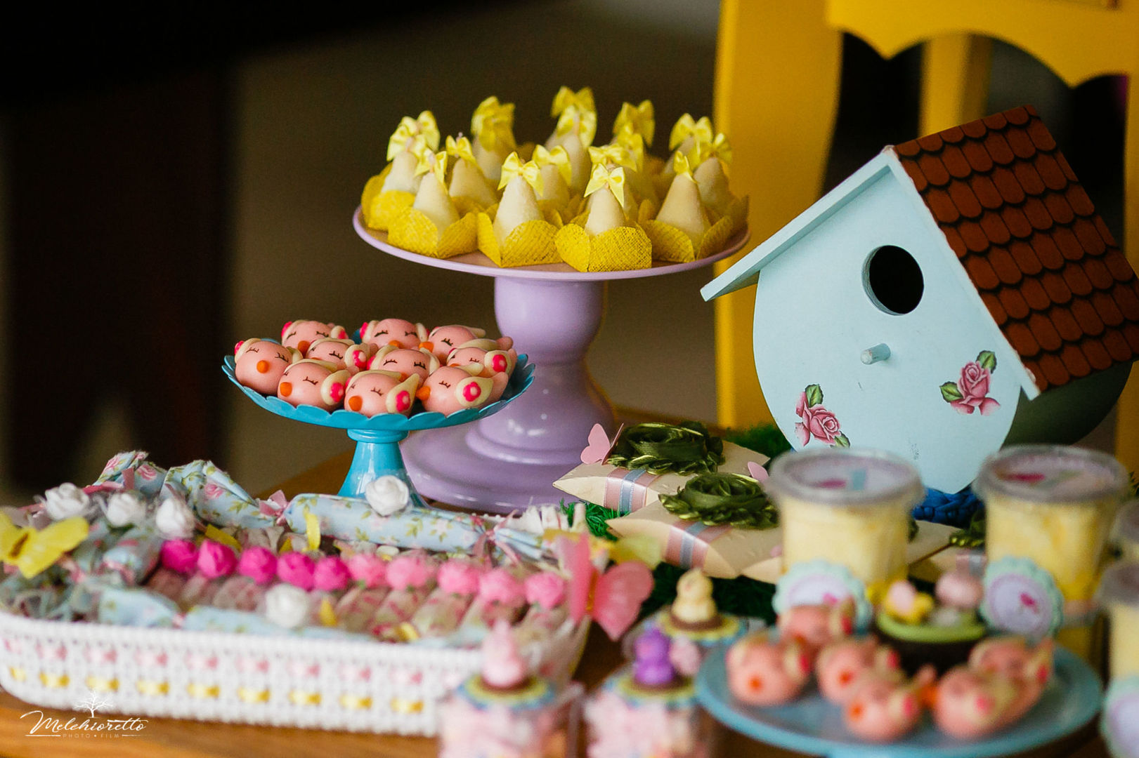 Foto Myllena 1 aninho | Aniversário | Jaraguá do Sul - Imagem 4