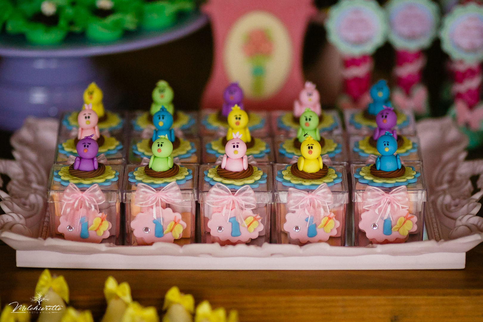 Foto Myllena 1 aninho | Aniversário | Jaraguá do Sul - Imagem 6