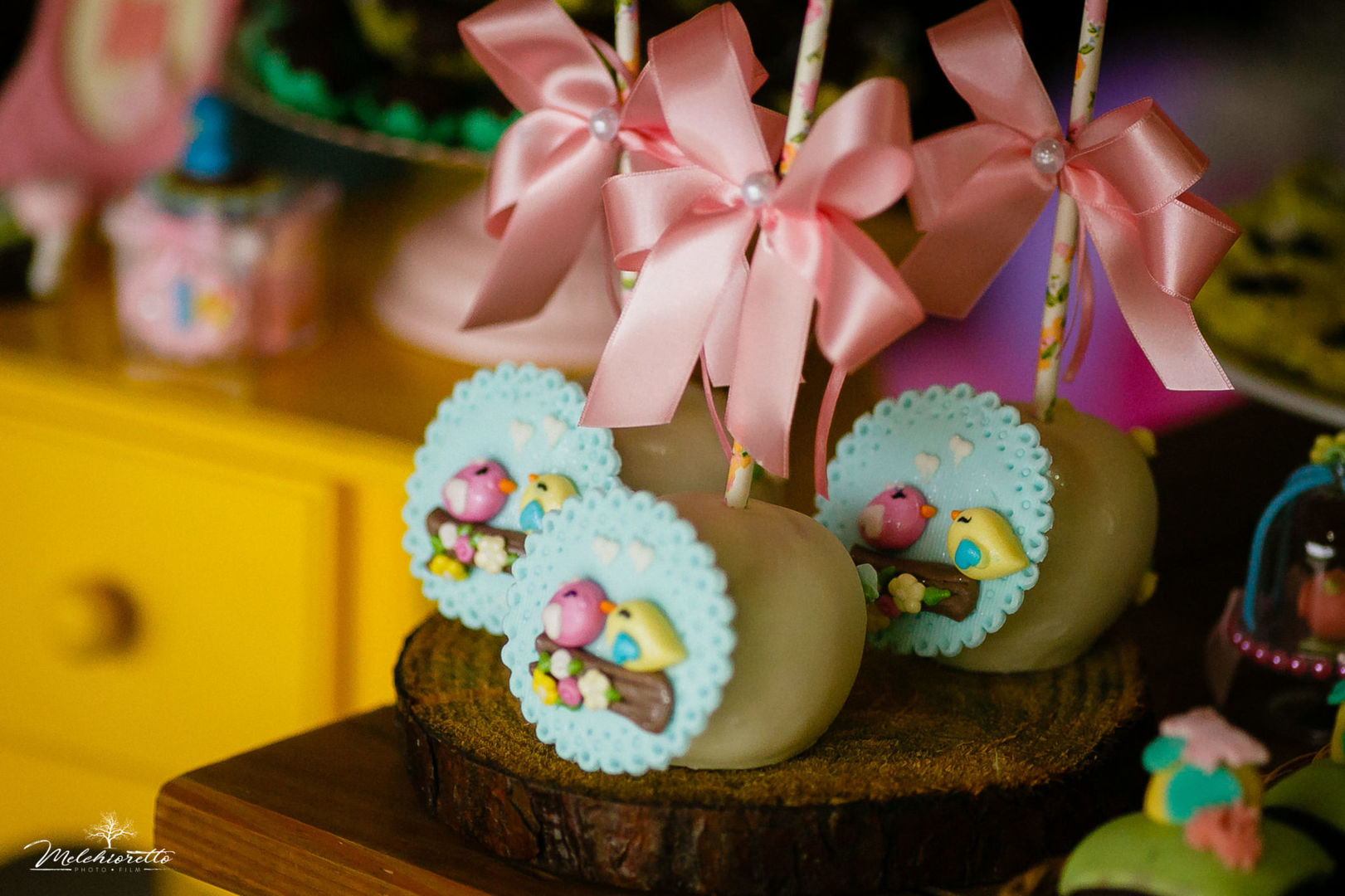 Foto Myllena 1 aninho | Aniversário | Jaraguá do Sul - Imagem 8