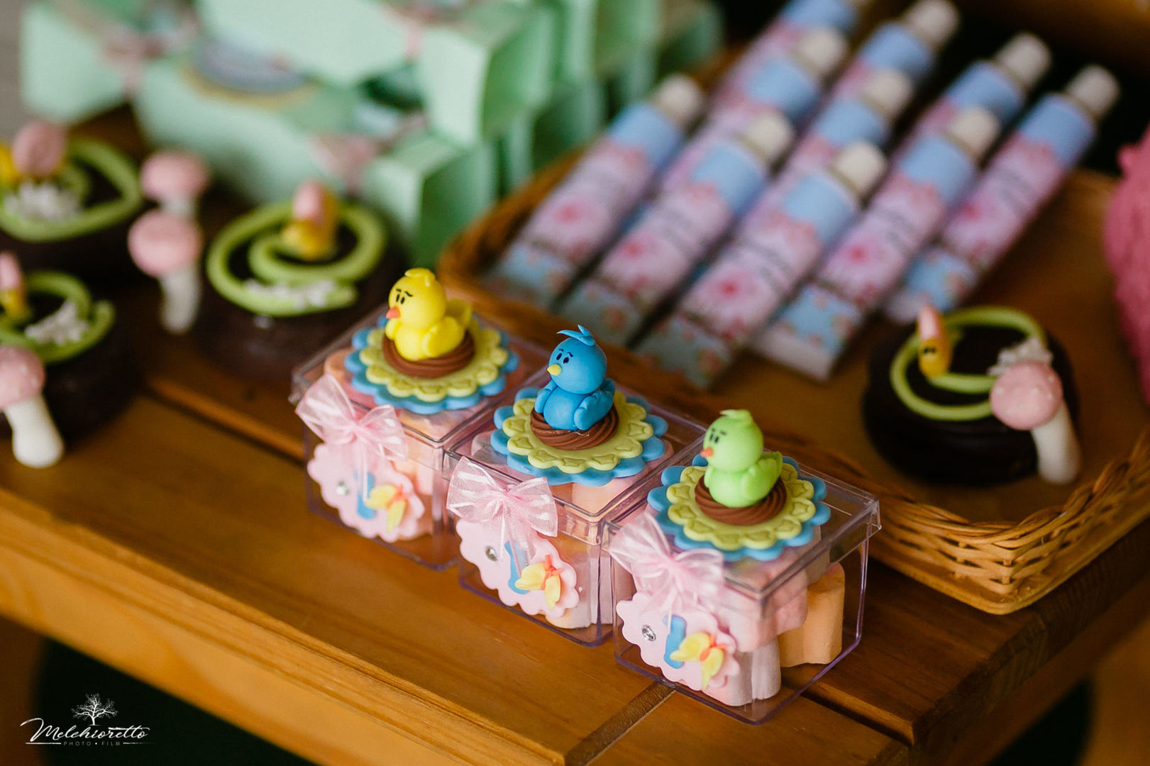 Foto Myllena 1 aninho | Aniversário | Jaraguá do Sul - Imagem 12