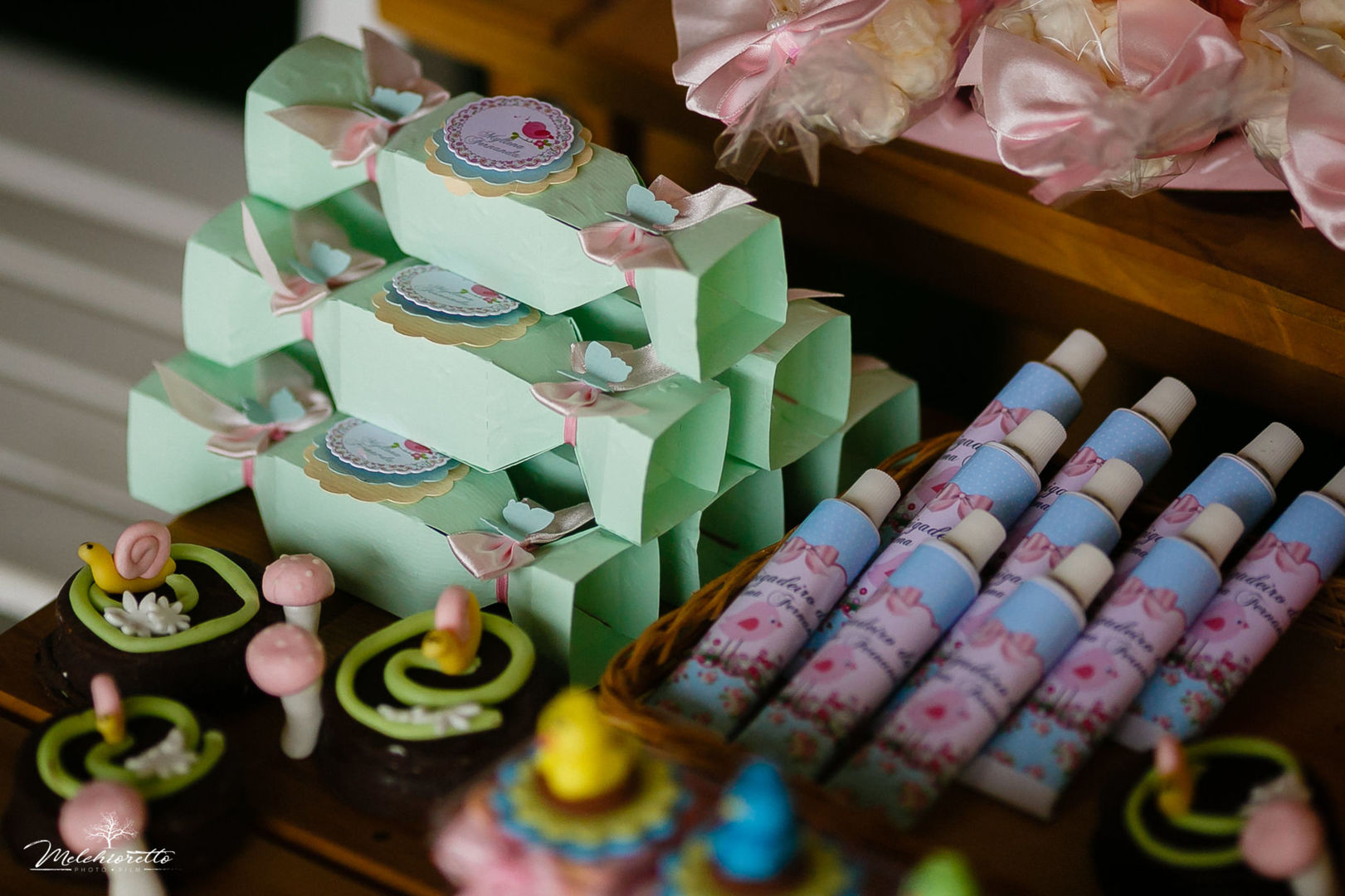 Foto Myllena 1 aninho | Aniversário | Jaraguá do Sul - Imagem 13