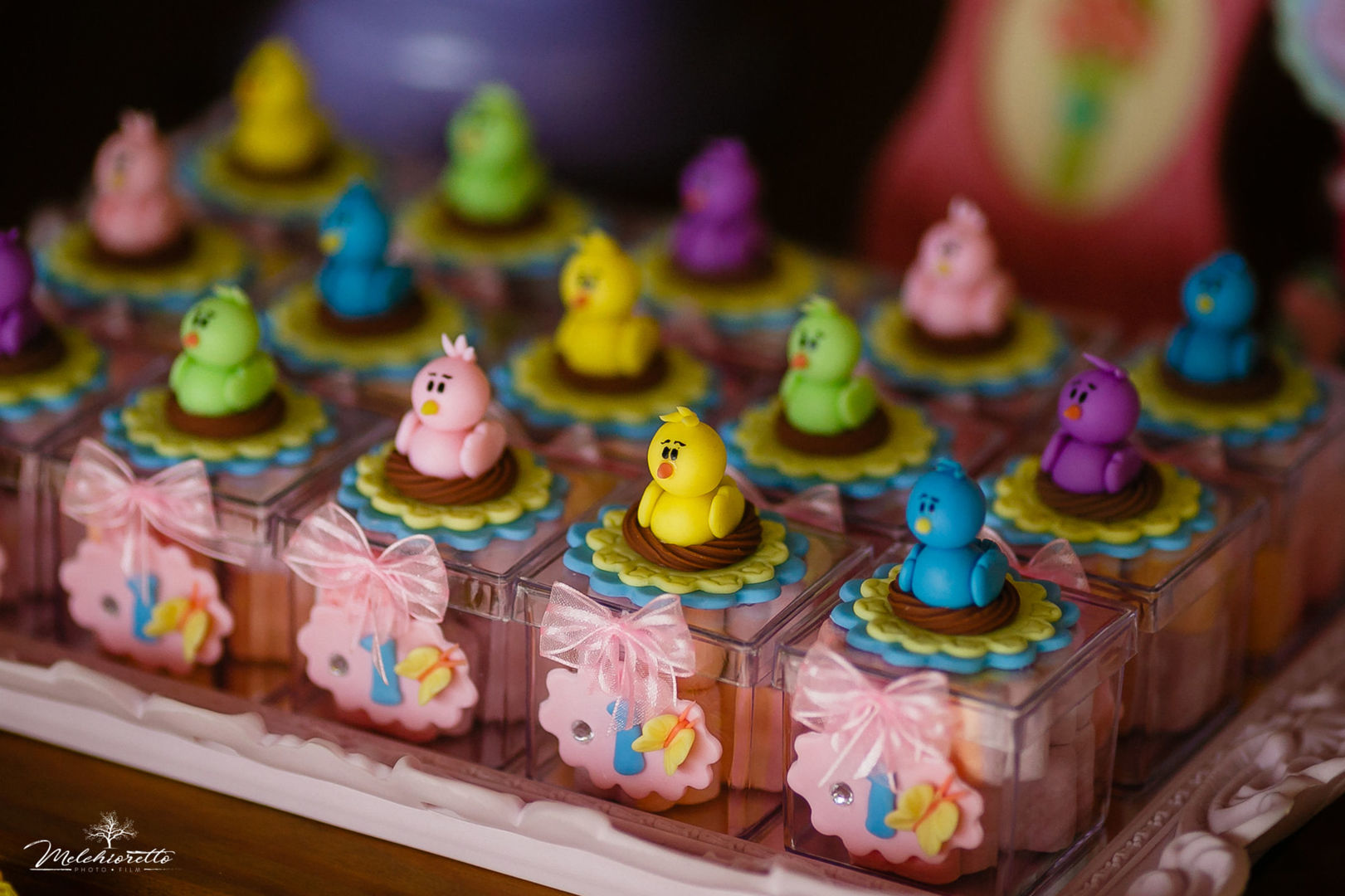 Foto Myllena 1 aninho | Aniversário | Jaraguá do Sul - Imagem 24