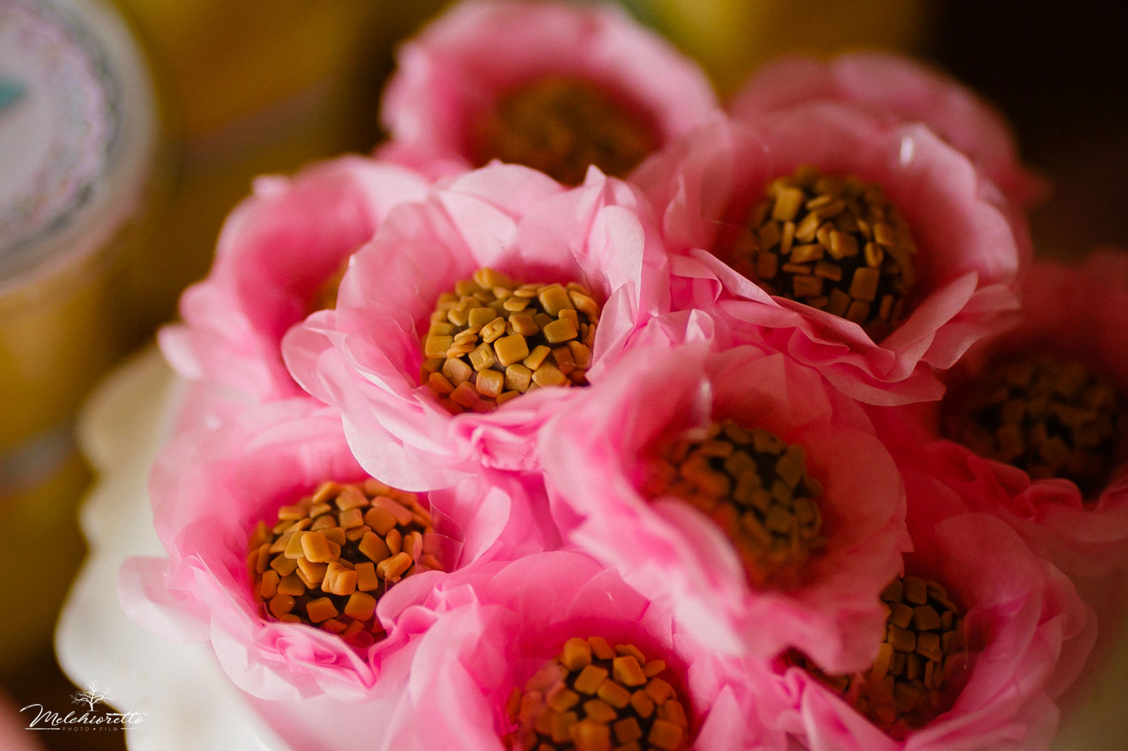 Foto Myllena 1 aninho | Aniversário | Jaraguá do Sul - Imagem 27