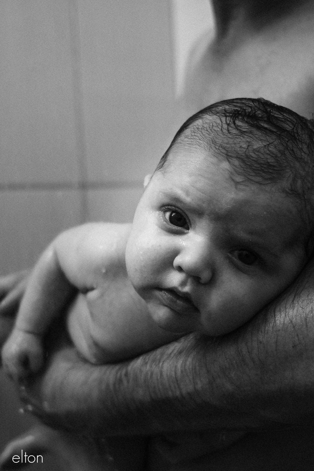 Foto Bem vindo Rafael | New Born Live Style | Massaranduba Foto Bem vindo Rafael | New Born Live Style | Massaranduba - Imagem 0