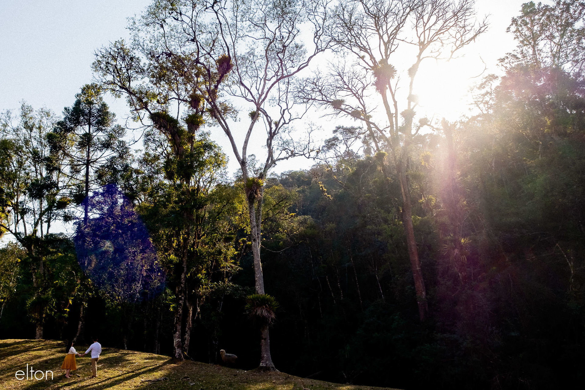 Foto Marcia & William | Fotos de Pré Casamento | Pousada Leão da Montanha - Imagem 13