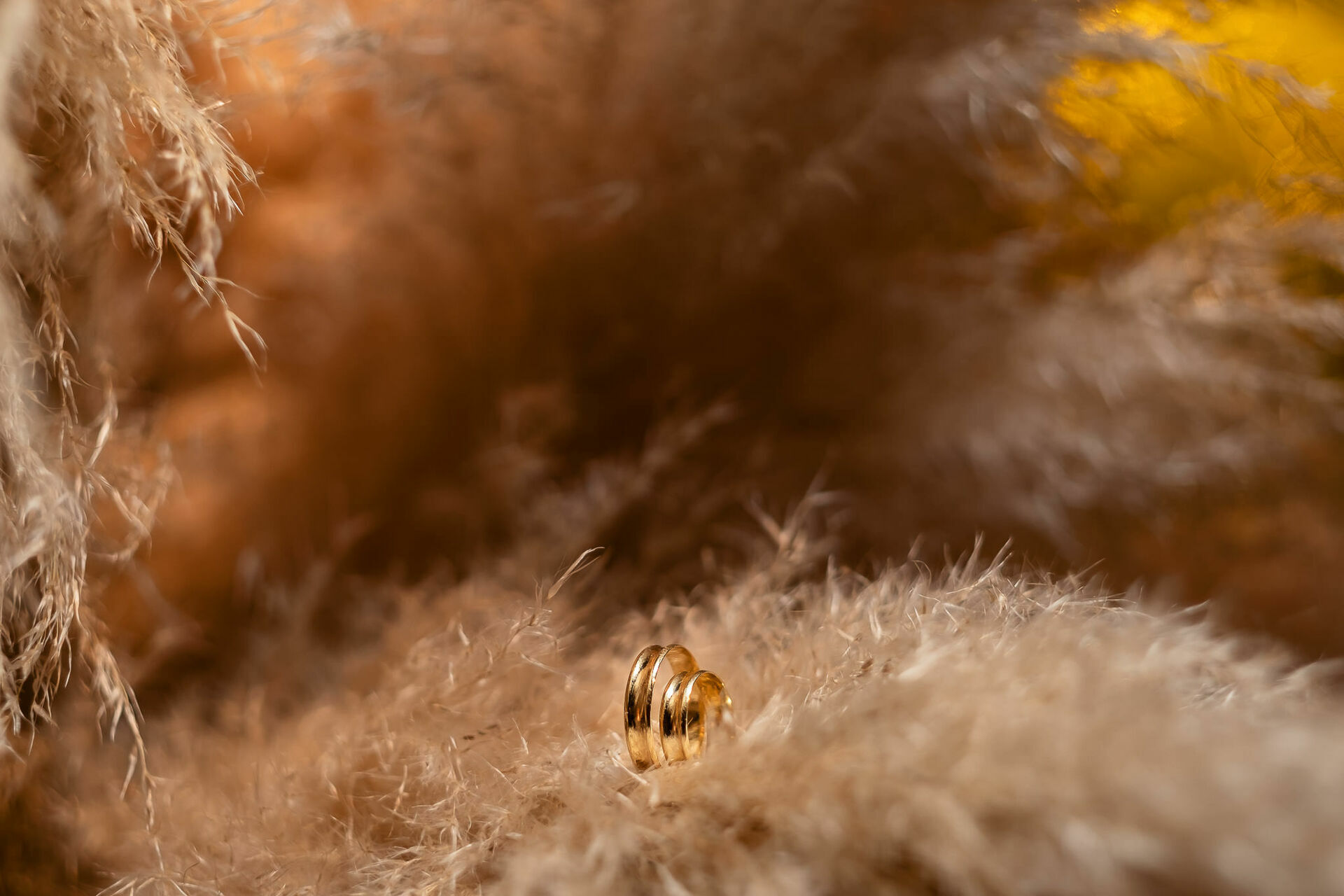 Foto Talita & Jackson | Fotos de Casamento | Guaramirim - Imagem 76